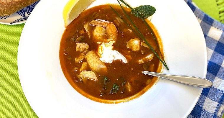 Hungarian fish soup with sour cream topping, garnished with chives, mint, and parsley.